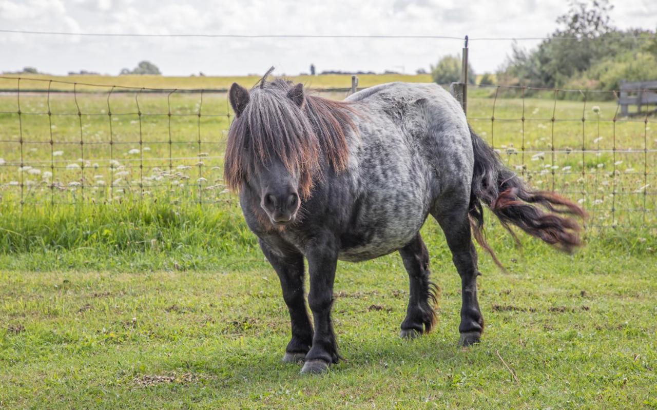 Eendrachtweg 4 De Cocksdorp  Kültér fotó